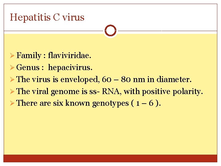 Hepatitis C virus Ø Family : flaviviridae. Ø Genus : hepacivirus. Ø The virus