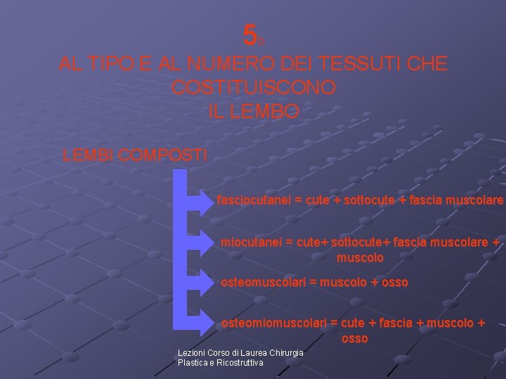 5 b AL TIPO E AL NUMERO DEI TESSUTI CHE COSTITUISCONO IL LEMBO LEMBI 5 b AL TIPO E AL NUMERO DEI TESSUTI CHE COSTITUISCONO IL LEMBO LEMBI