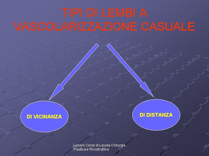 TIPI DI LEMBI A VASCOLARIZZAZIONE CASUALE DI DISTANZA DI VICINANZA Lezioni Corso di Laurea