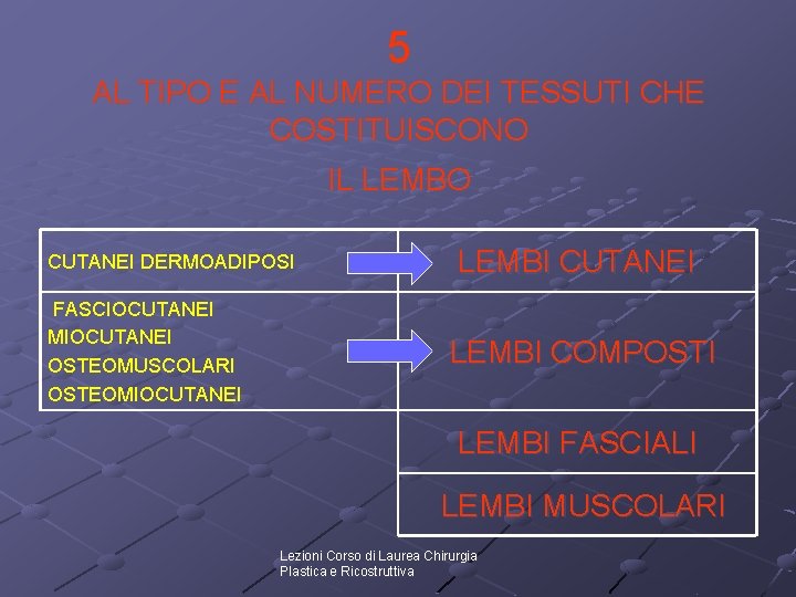 5 AL TIPO E AL NUMERO DEI TESSUTI CHE COSTITUISCONO IL LEMBO CUTANEI DERMOADIPOSI