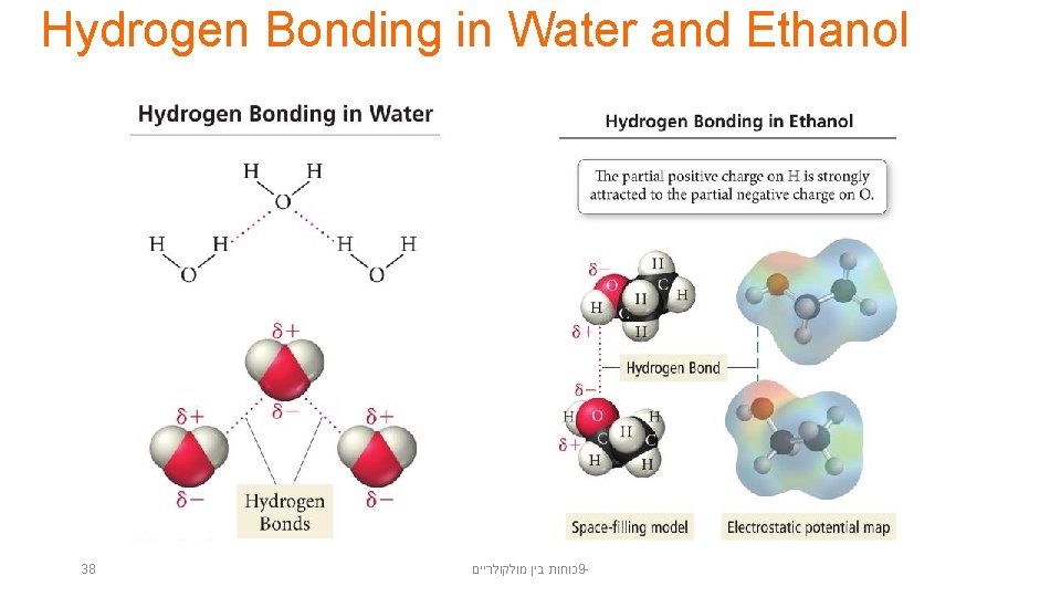 Hydrogen Bonding in Water and Ethanol 38 כוחות בין מולקולריים 9 - 
