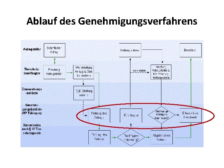 Ablauf des Genehmigungsverfahrens 