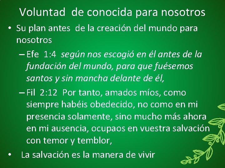 Voluntad de conocida para nosotros • Su plan antes de la creación del mundo