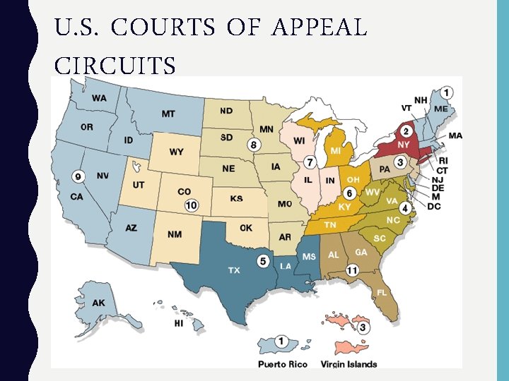 U. S. COURTS OF APPEAL CIRCUITS 