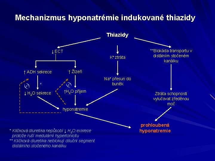 Mechanizmus hyponatrémie indukované thiazidy Thiazidy ↓ ECT K+ ztráta (-) * ↓ H 2