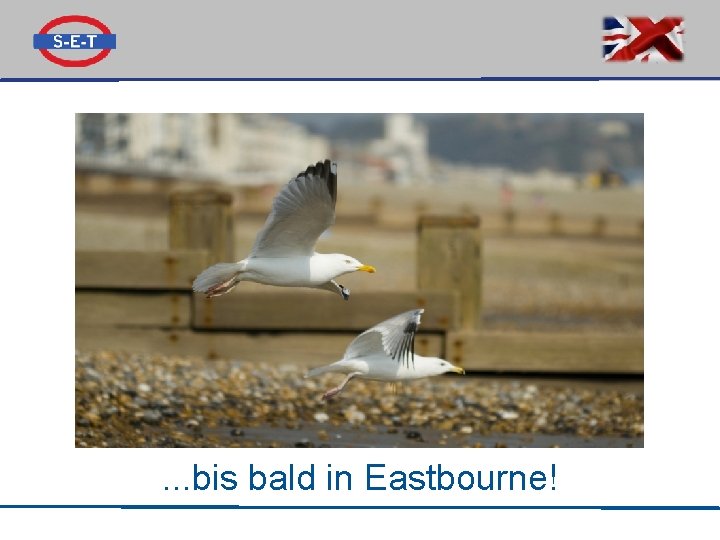 . . . bis bald in Eastbourne! 