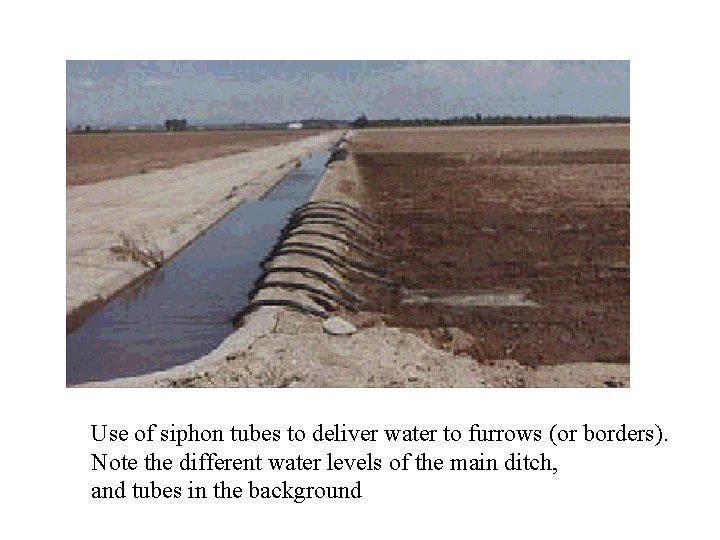 Use of siphon tubes to deliver water to furrows (or borders). Note the different
