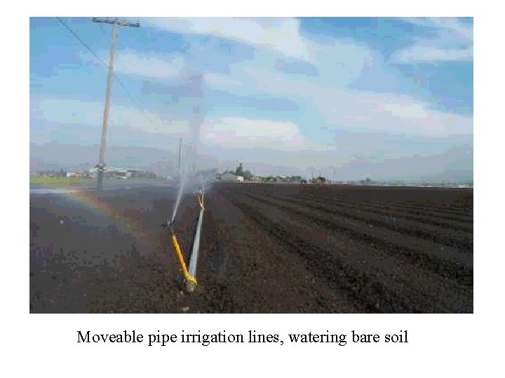 Moveable pipe irrigation lines, watering bare soil 