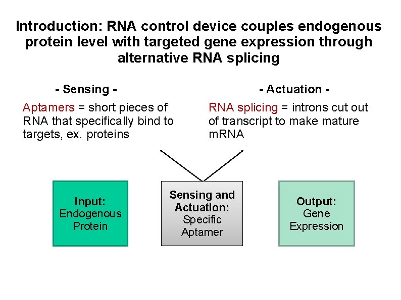 Introduction: RNA control device couples endogenous protein level with targeted gene expression through alternative