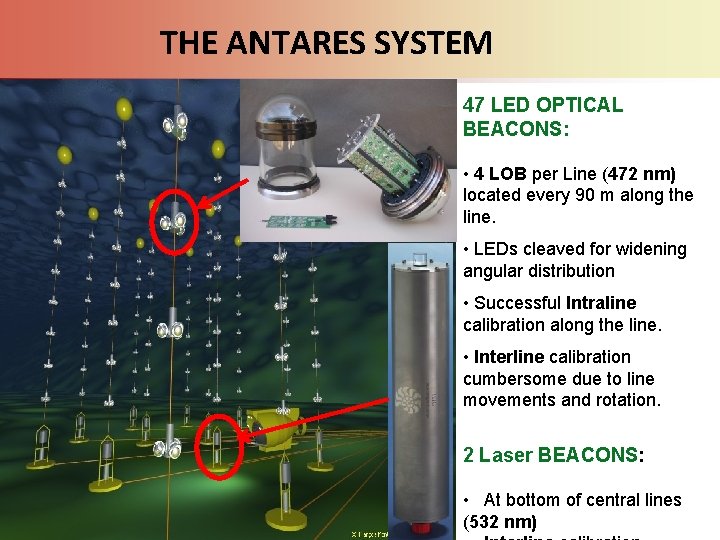 THE ANTARES SYSTEM 47 LED OPTICAL BEACONS: • 4 LOB per Line (472 nm)