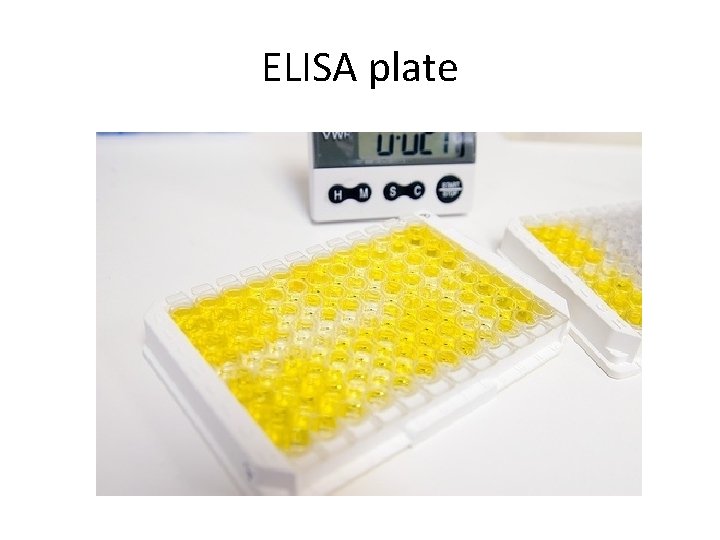 ELISA plate 