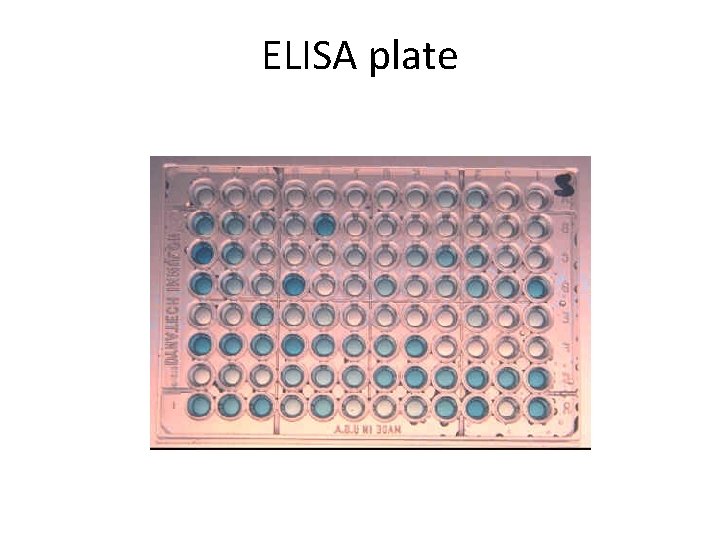 ELISA plate 