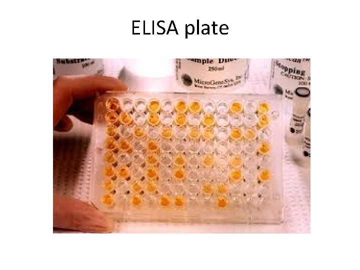 ELISA plate 