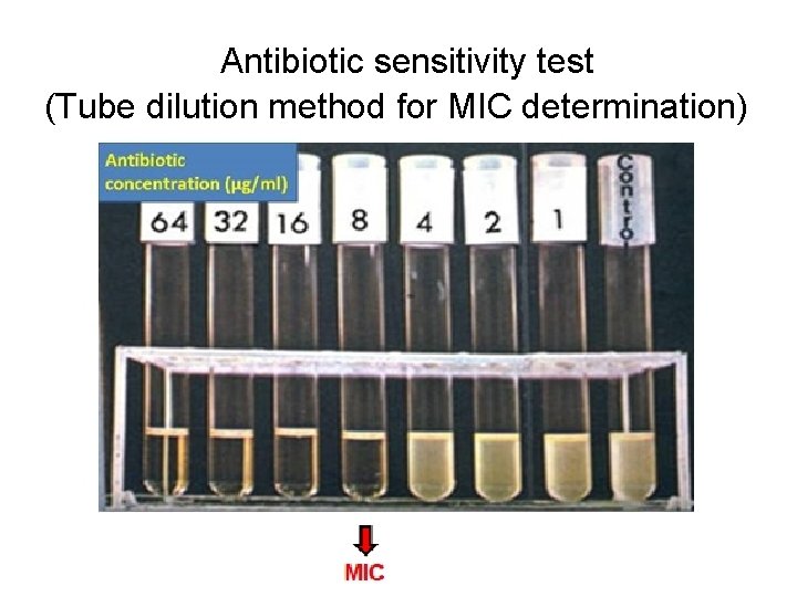 Antibiotic sensitivity test (Tube dilution method for MIC determination) MIC 