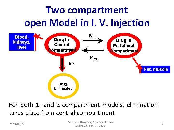 Two compartment open Model in I. V. Injection Blood, kidneys, liver Drug in Central