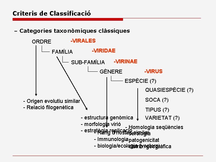 Criteris de Classificació – Categories taxonòmiques clàssiques ORDRE -VIRALES FAMÍLIA -VIRIDAE SUB-FAMÍLIA -VIRINAE GÈNERE