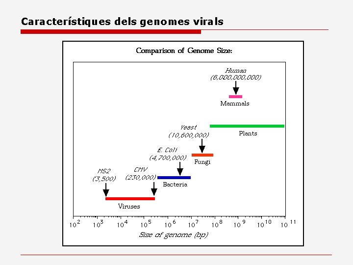 Característiques dels genomes virals 