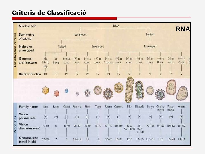 Criteris de Classificació RNA 