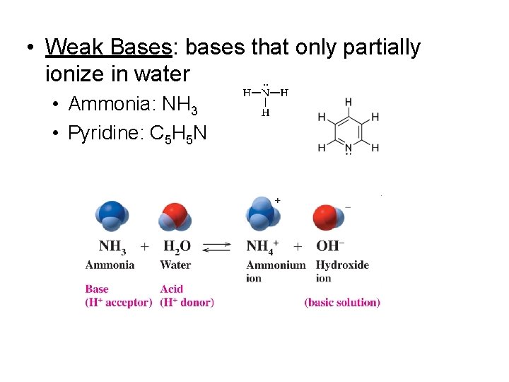 • Weak Bases: bases that only partially ionize in water • Ammonia: NH