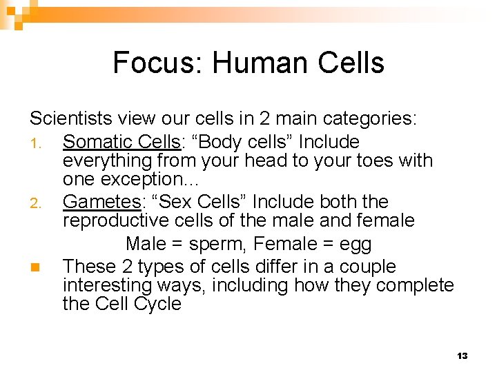 Focus: Human Cells Scientists view our cells in 2 main categories: 1. Somatic Cells: