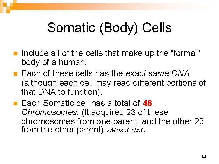 Somatic (Body) Cells n n n Include all of the cells that make up
