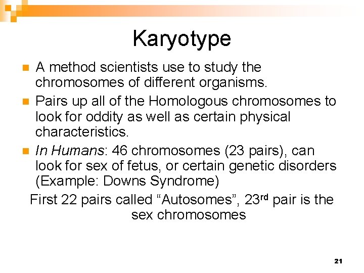 Karyotype A method scientists use to study the chromosomes of different organisms. n Pairs