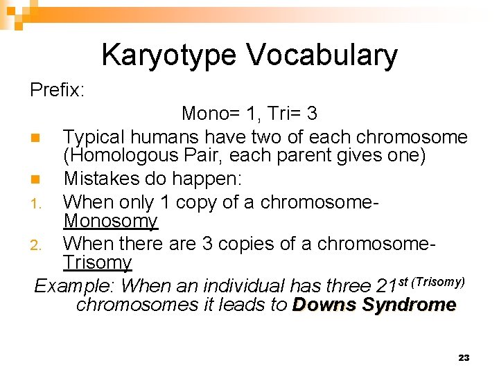 Karyotype Vocabulary Prefix: Mono= 1, Tri= 3 n Typical humans have two of each