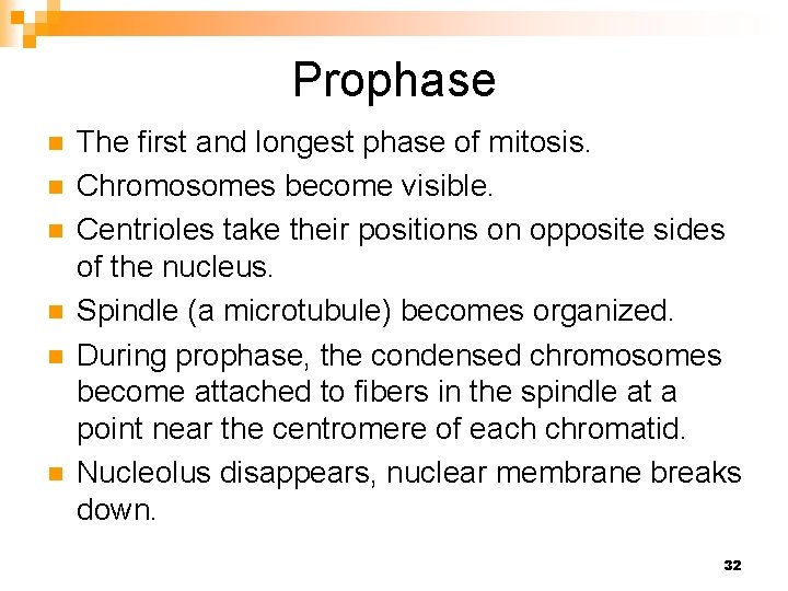 Prophase n n n The first and longest phase of mitosis. Chromosomes become visible.