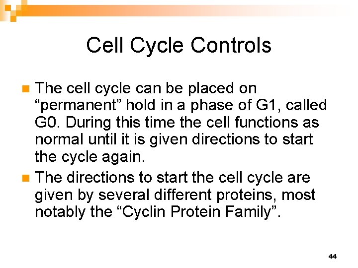 Cell Cycle Controls The cell cycle can be placed on “permanent” hold in a