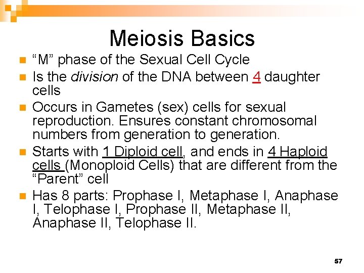 Meiosis Basics n n n “M” phase of the Sexual Cell Cycle Is the