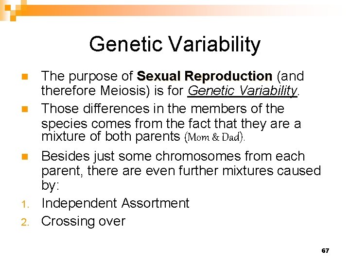 Genetic Variability n n n 1. 2. The purpose of Sexual Reproduction (and therefore