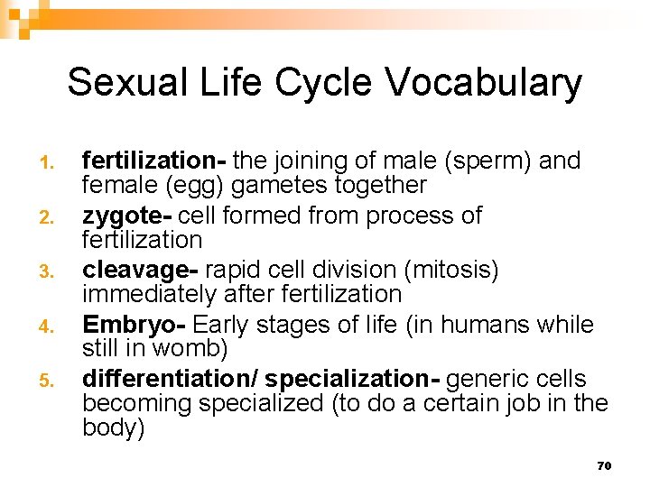 Sexual Life Cycle Vocabulary 1. 2. 3. 4. 5. fertilization- the joining of male
