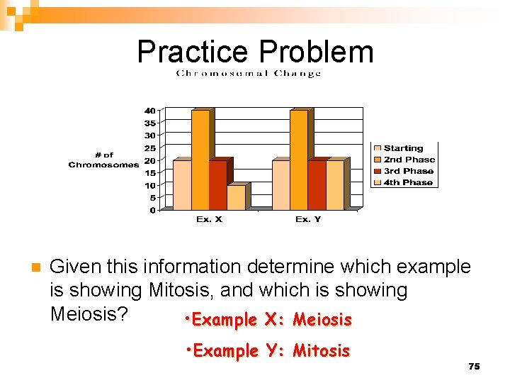 Practice Problem n Given this information determine which example is showing Mitosis, and which