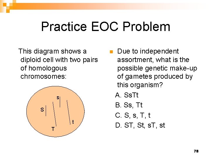 Practice EOC Problem This diagram shows a diploid cell with two pairs of homologous