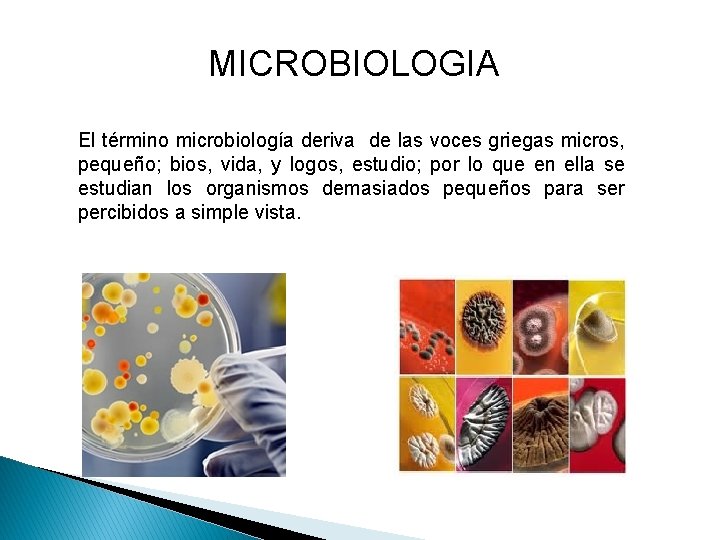 MICROBIOLOGIA El término microbiología deriva de las voces griegas micros, pequeño; bios, vida, y