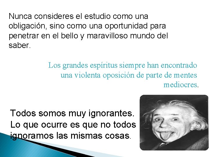 Nunca consideres el estudio como una obligación, sino como una oportunidad para penetrar en