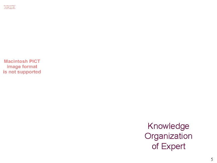 Knowledge Organization of Expert 5 