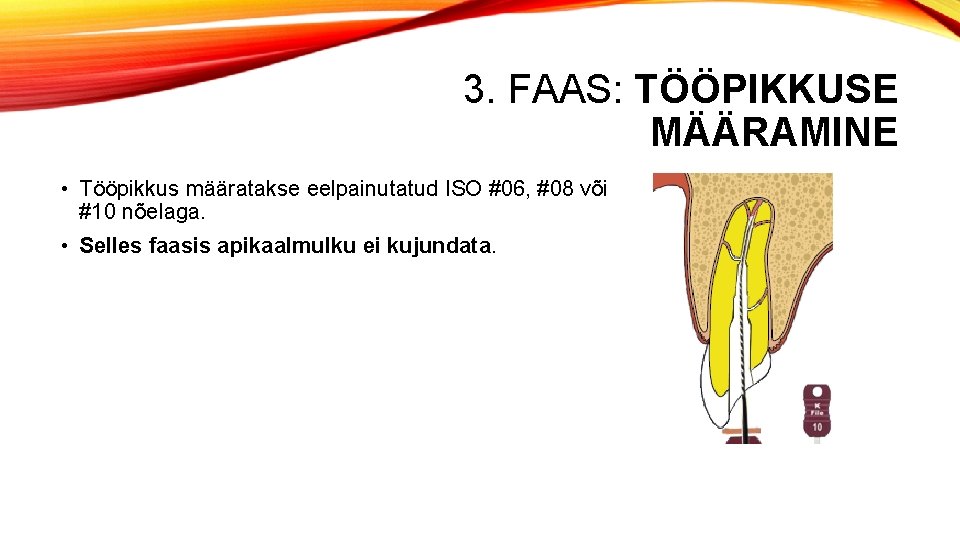 3. FAAS: TÖÖPIKKUSE MÄÄRAMINE • Tööpikkus määratakse eelpainutatud ISO #06, #08 või #10 nõelaga.