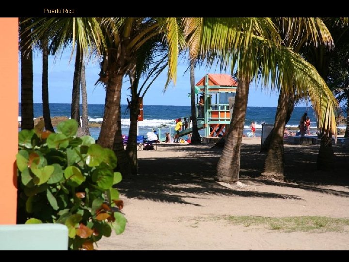 Puerto Rico Puerto Rico