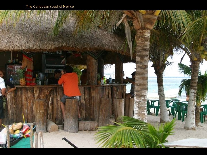 The Caribbean coast of Mexico The Caribbean coast of Mexico