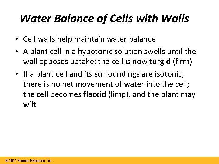 Water Balance of Cells with Walls • Cell walls help maintain water balance •