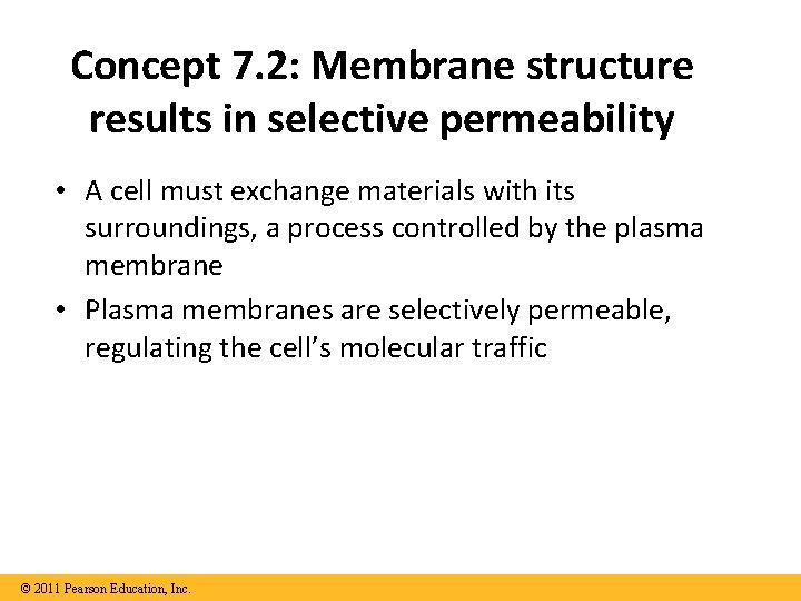 Concept 7. 2: Membrane structure results in selective permeability • A cell must exchange