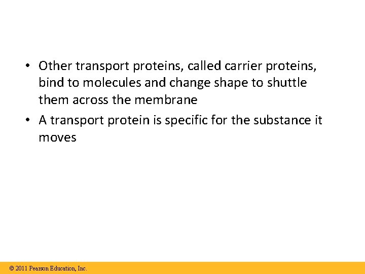  • Other transport proteins, called carrier proteins, bind to molecules and change shape