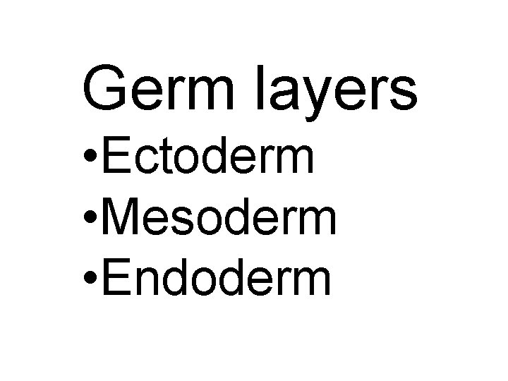 Germ layers • Ectoderm • Mesoderm • Endoderm 