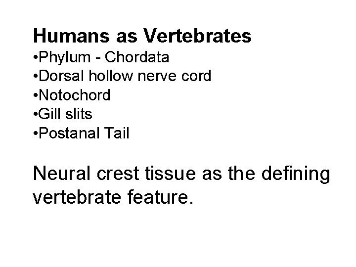 Humans as Vertebrates • Phylum - Chordata • Dorsal hollow nerve cord • Notochord