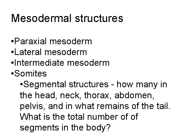 Mesodermal structures • Paraxial mesoderm • Lateral mesoderm • Intermediate mesoderm • Somites •