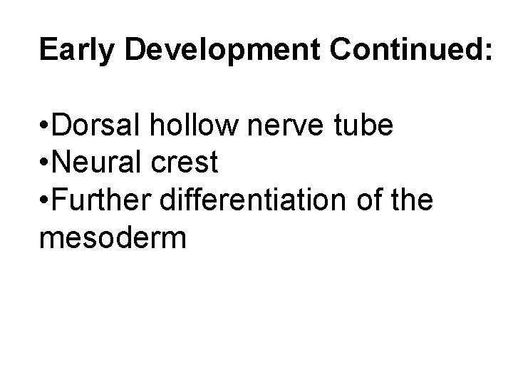 Early Development Continued: • Dorsal hollow nerve tube • Neural crest • Further differentiation