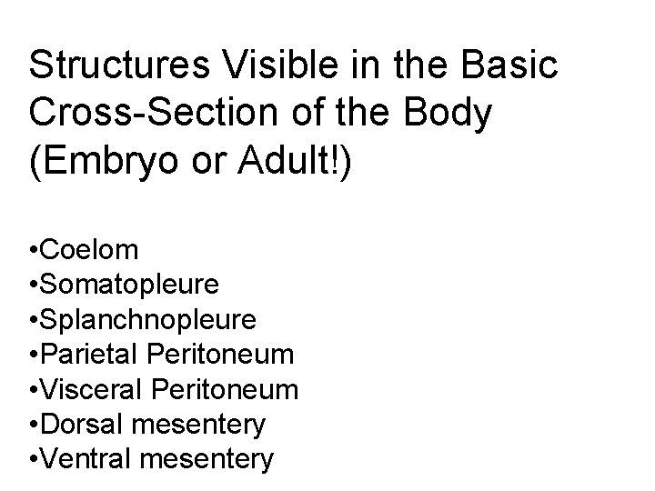 Structures Visible in the Basic Cross-Section of the Body (Embryo or Adult!) • Coelom