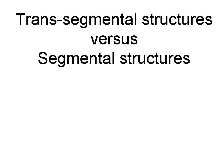 Trans-segmental structures versus Segmental structures 