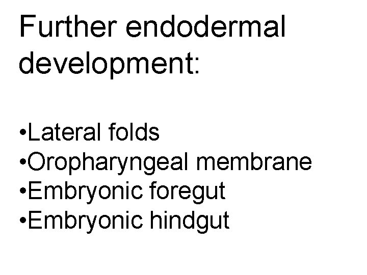 Further endodermal development: • Lateral folds • Oropharyngeal membrane • Embryonic foregut • Embryonic